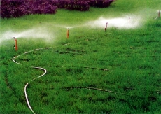 永康節水灌溉技術