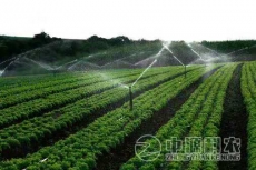 永康水肥一體化專業技術公司